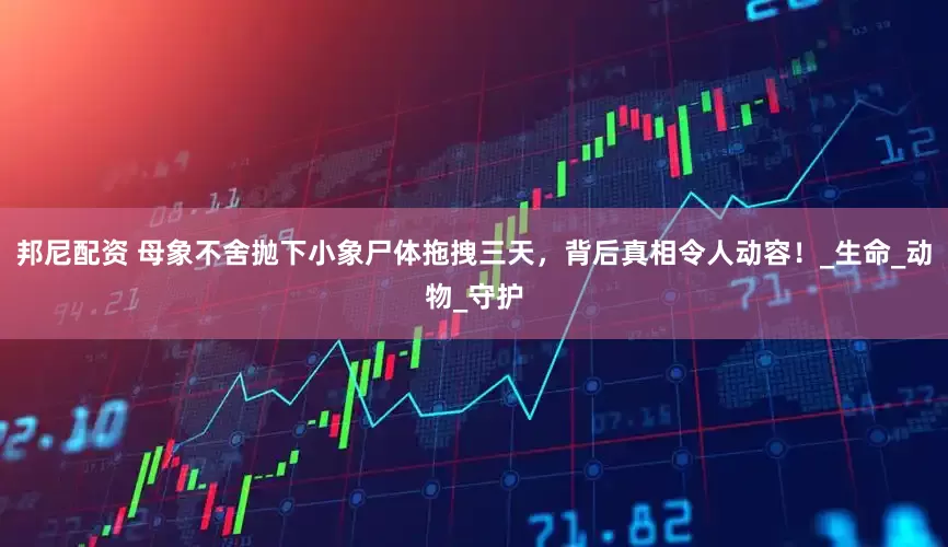 邦尼配资 母象不舍抛下小象尸体拖拽三天，背后真相令人动容！_生命_动物_守护